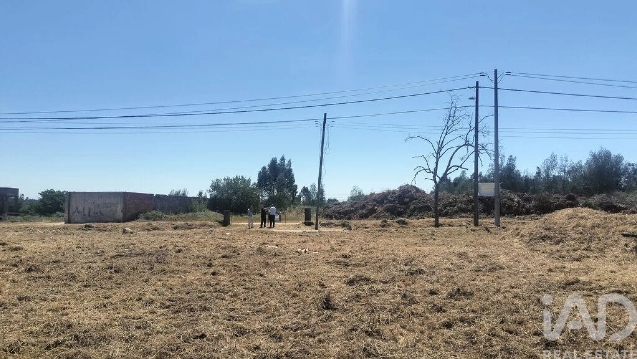 Terreno para Venda em Canas de Santa Maria Foto 20