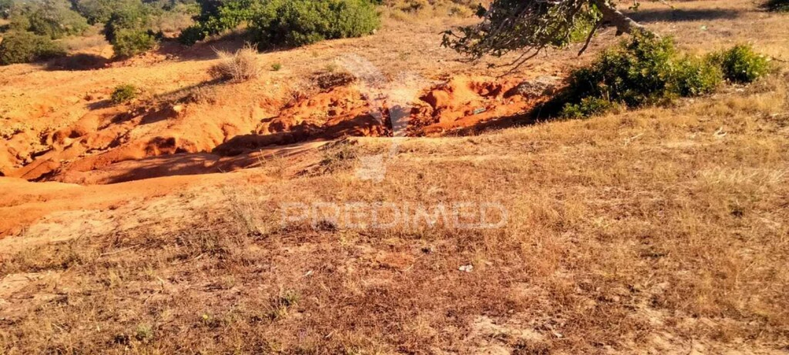Terreno para Venda em Guia Foto 4