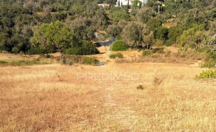 Terreno para Venda em Guia