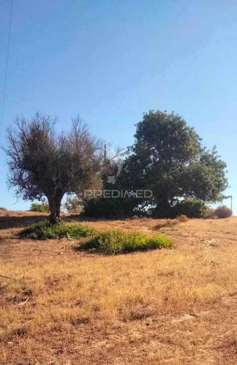 Terreno para Venda em Guia