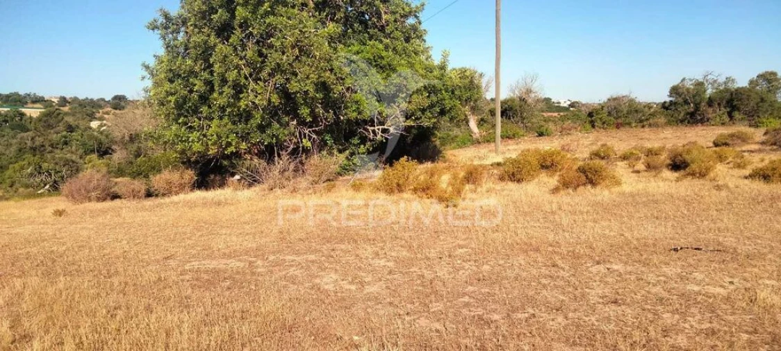 Terreno para Venda em Guia Foto 2