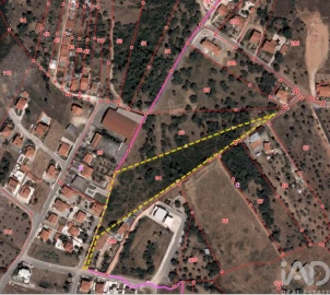 Terreno para Venda em São Pedro de Tomar