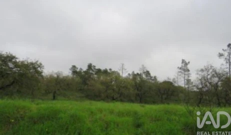 Terreno para Venda em São Pedro de Tomar