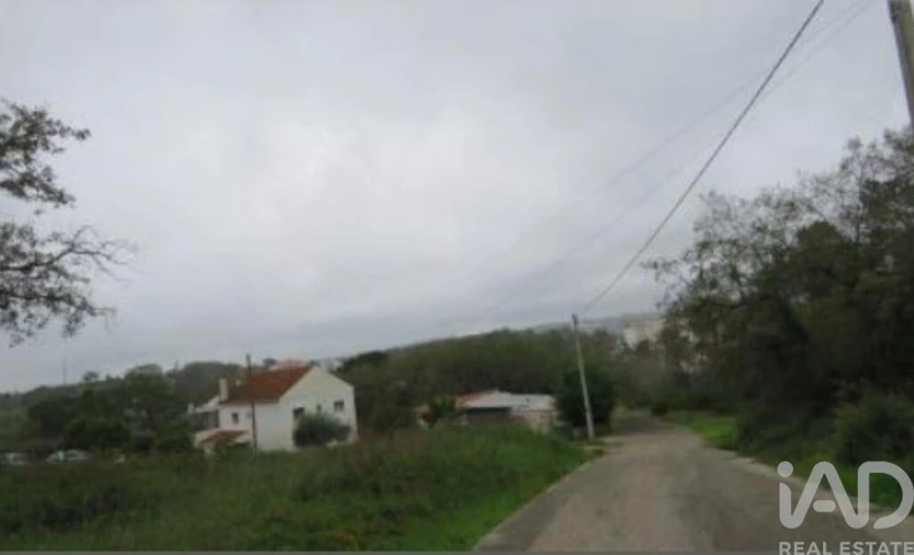 Terreno para Venda em São Pedro de Tomar Foto 2