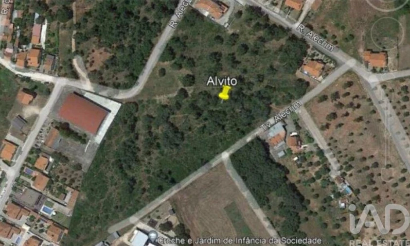 Terreno para Venda em São Pedro de Tomar Foto 4