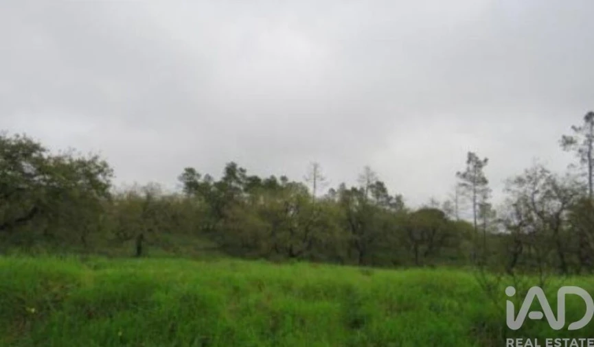 Terreno para Venda em São Pedro de Tomar Foto 3