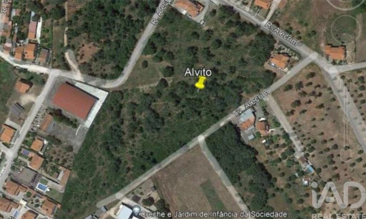 Terreno para Venda em São Pedro de Tomar Foto 4