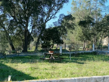 Quinta T5 para Venda em Bucelas