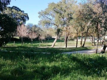 Quinta T5 para Venda em Bucelas