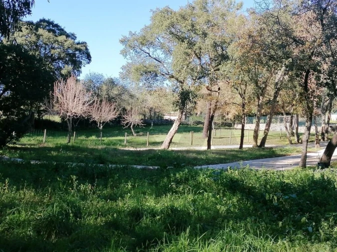 Quinta T5 para Venda em Bucelas Foto 25