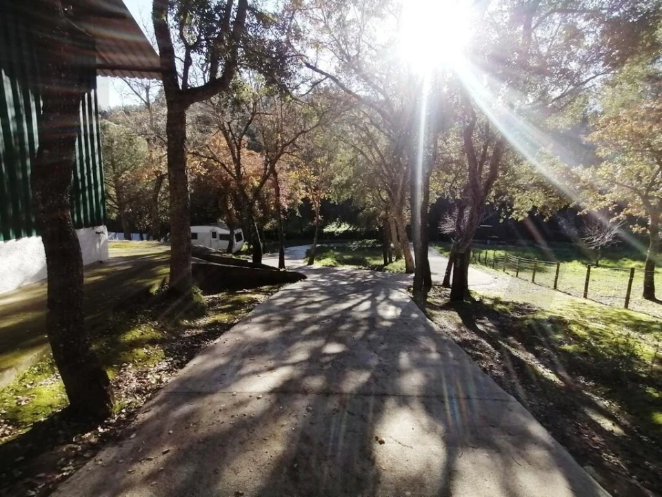 Quinta T5 para Venda em Bucelas Foto 29