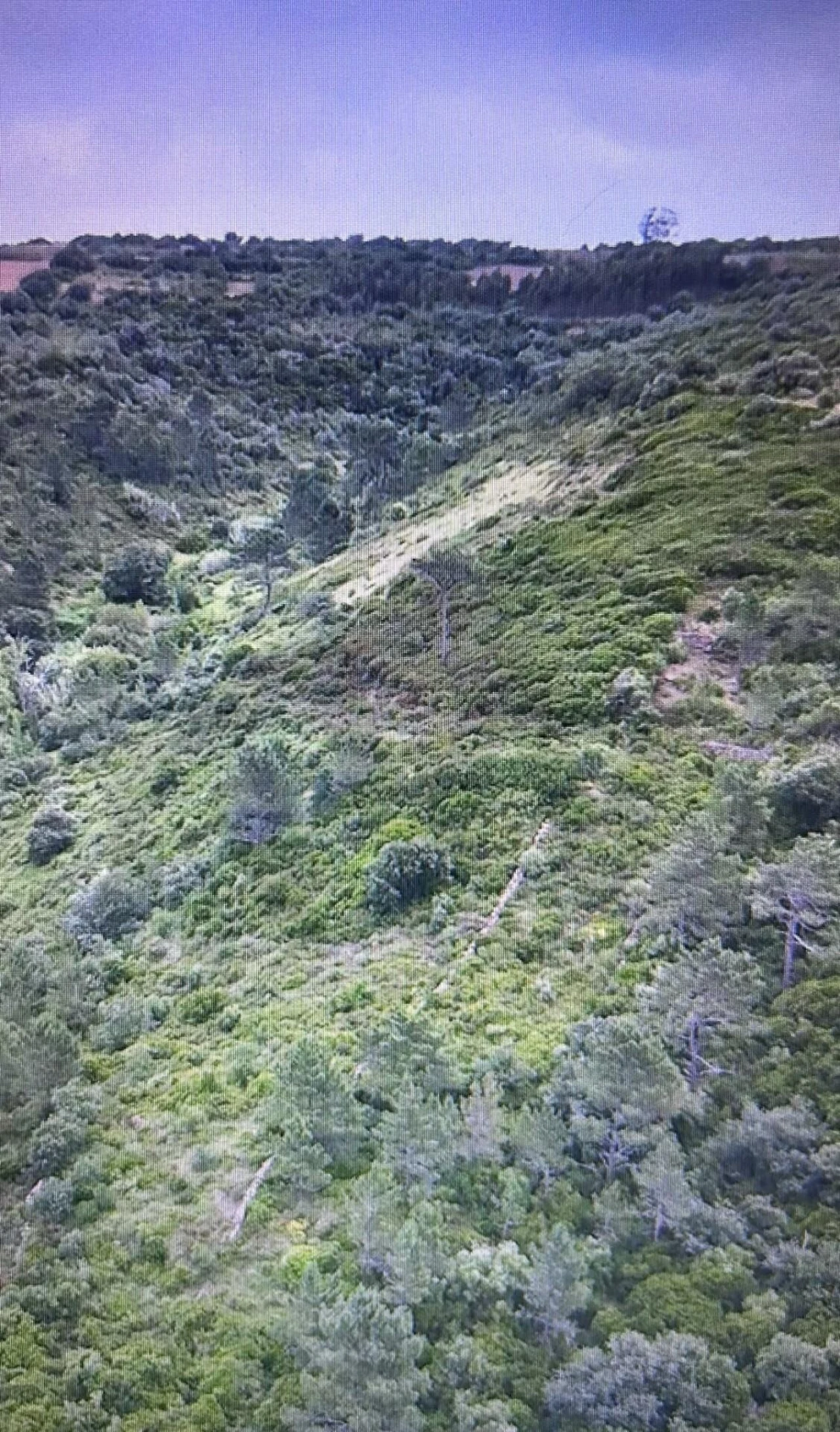 Terreno para Venda em Igreja Nova e Cheleiros Foto 14