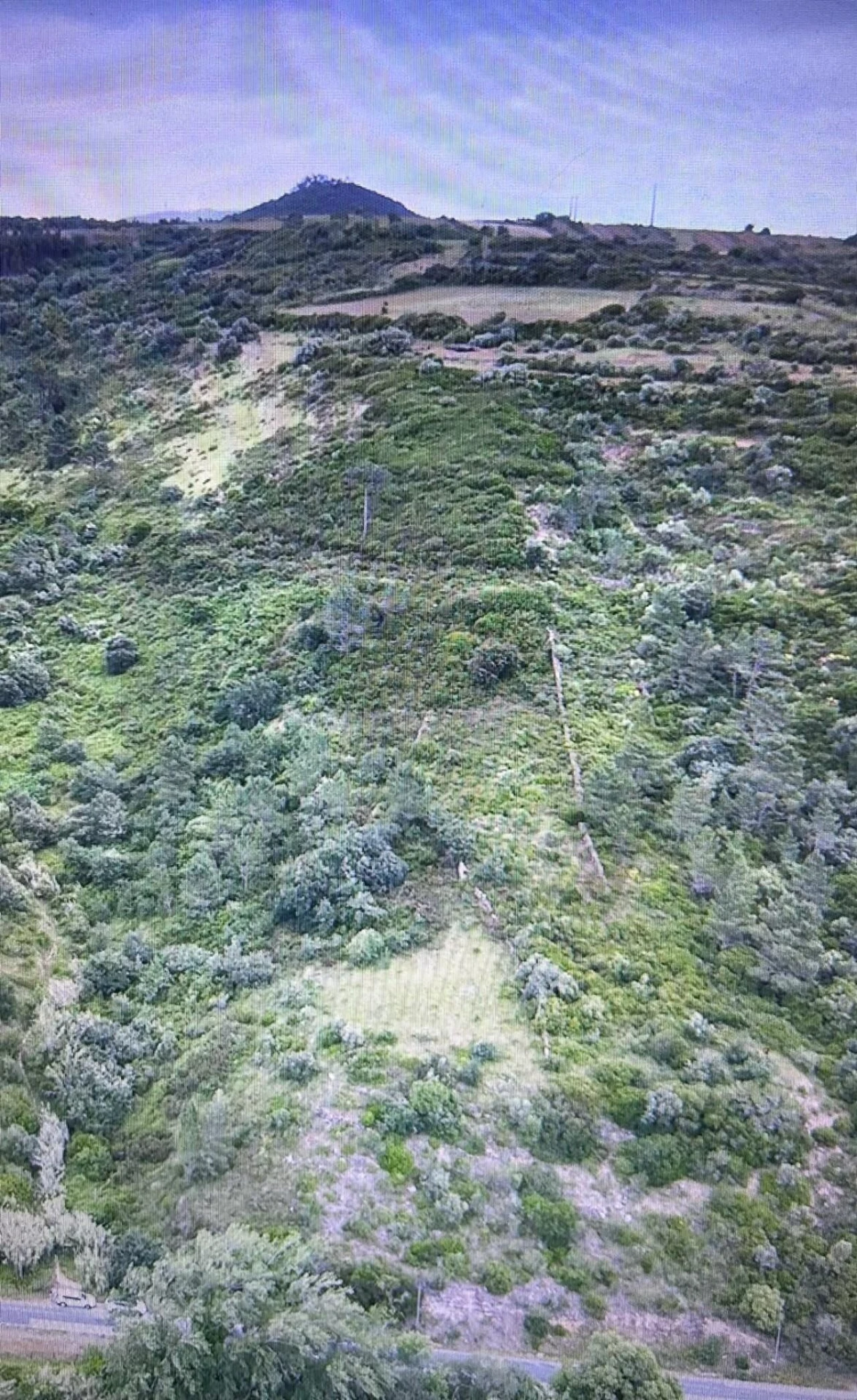 Terreno para Venda em Igreja Nova e Cheleiros Foto 15