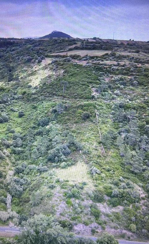 Terreno para Venda em Igreja Nova e Cheleiros