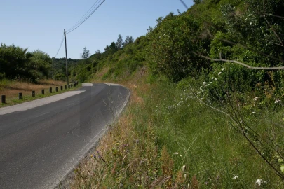 Terreno para Venda em Igreja Nova e Cheleiros
