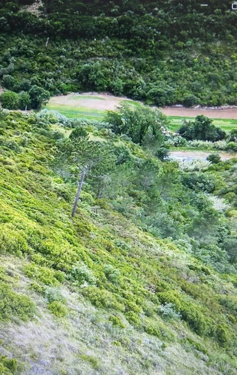 Terreno para Venda em Igreja Nova e Cheleiros