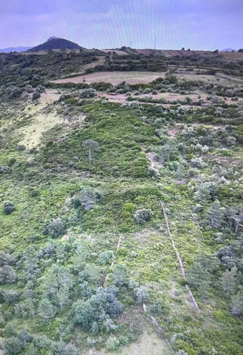 Terreno para Venda em Igreja Nova e Cheleiros