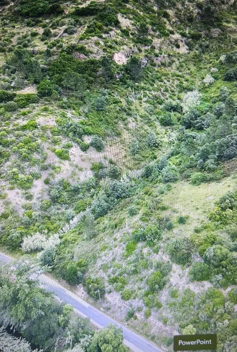 Terreno para Venda em Igreja Nova e Cheleiros