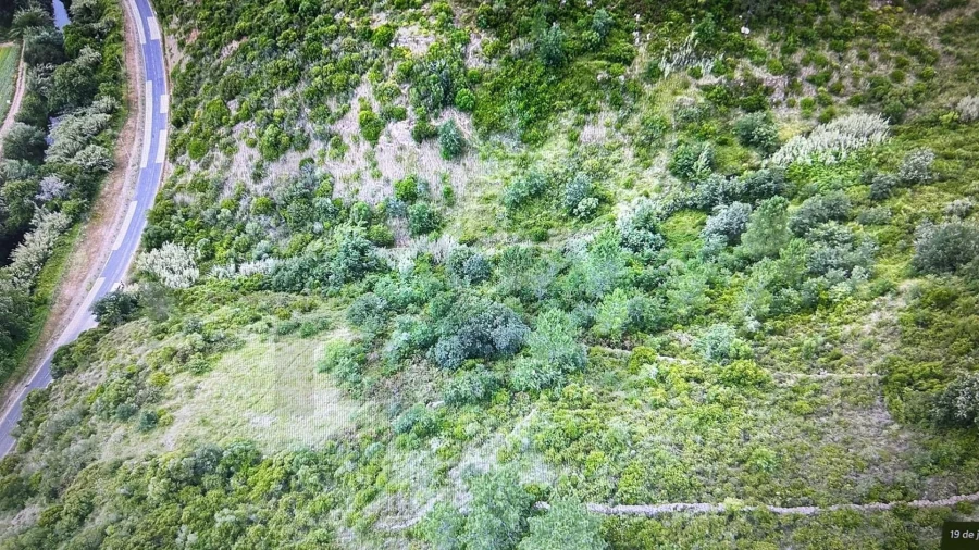 Terreno para Venda em Igreja Nova e Cheleiros Foto 3