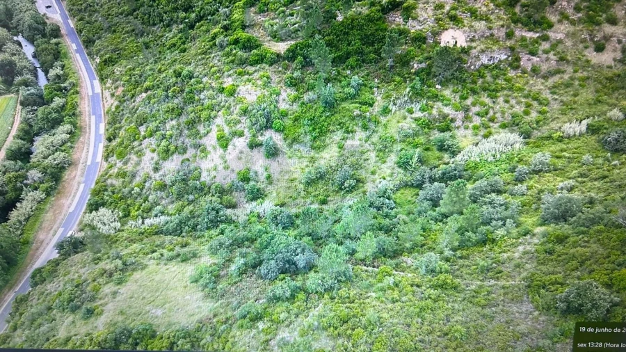 Terreno para Venda em Igreja Nova e Cheleiros Foto 4