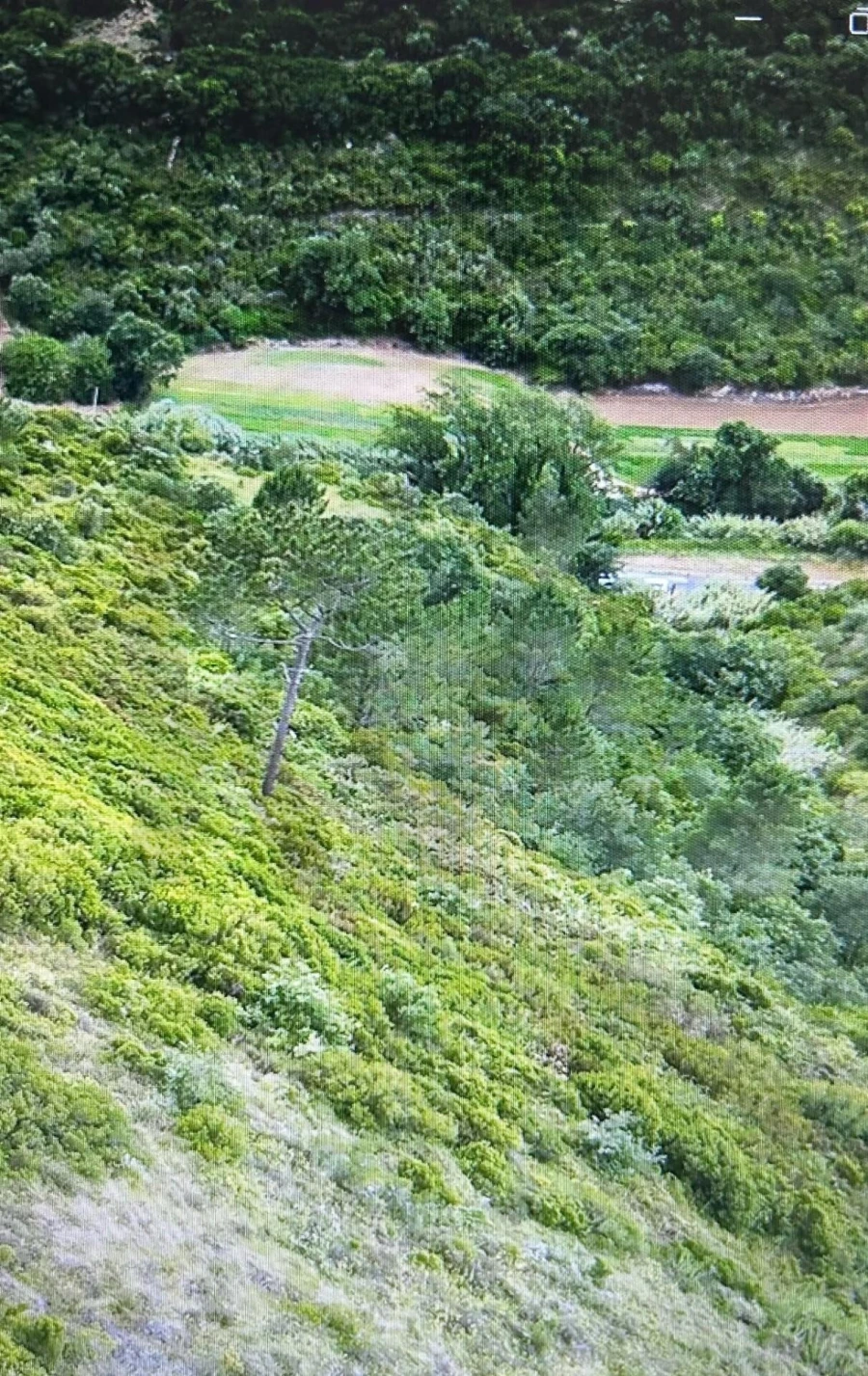 Terreno para Venda em Igreja Nova e Cheleiros Foto 7