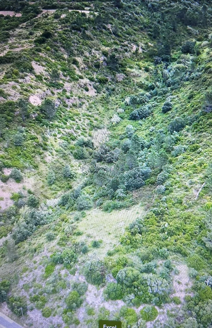 Terreno para Venda em Igreja Nova e Cheleiros Foto 8