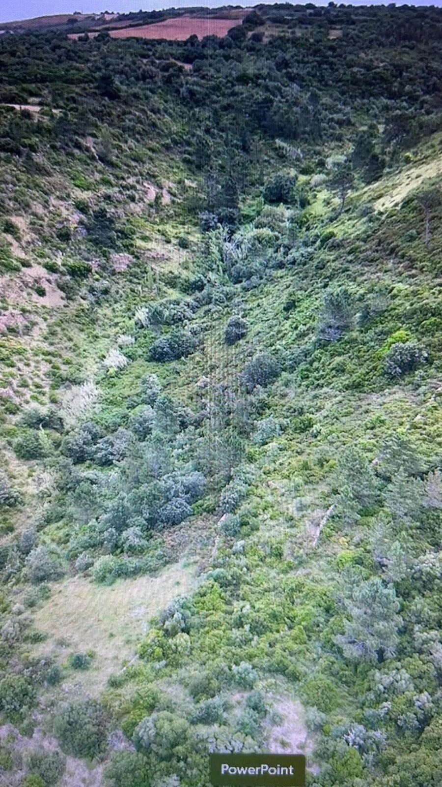 Terreno para Venda em Igreja Nova e Cheleiros Foto 13