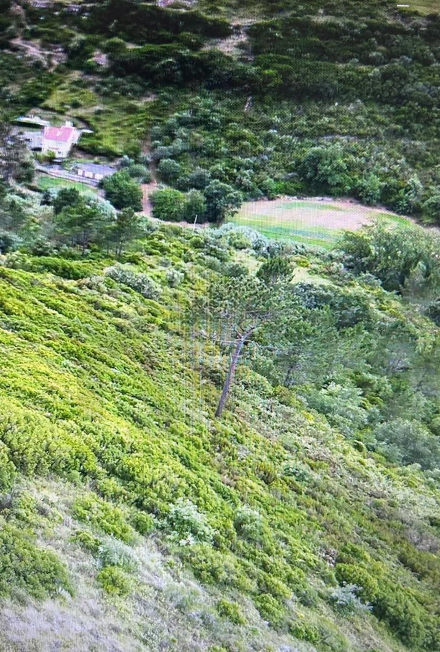 Terreno para Venda em Igreja Nova e Cheleiros Foto 10