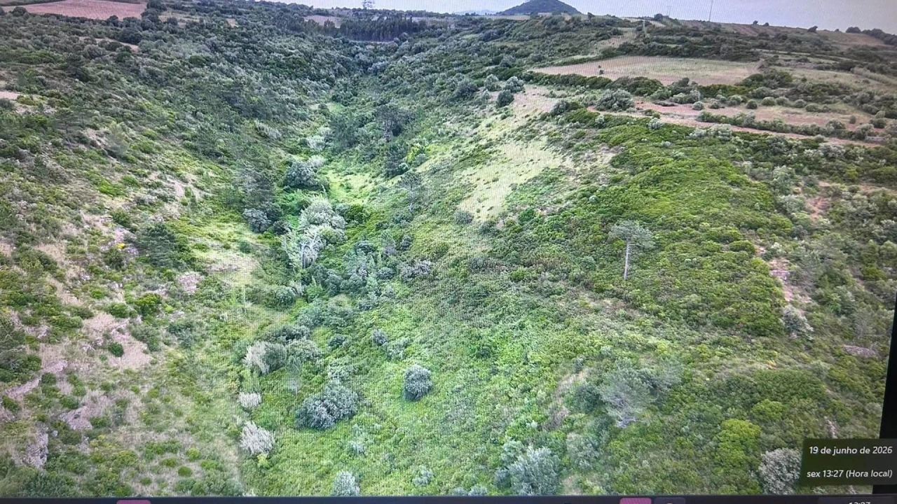 Terreno para Venda em Igreja Nova e Cheleiros Foto 1