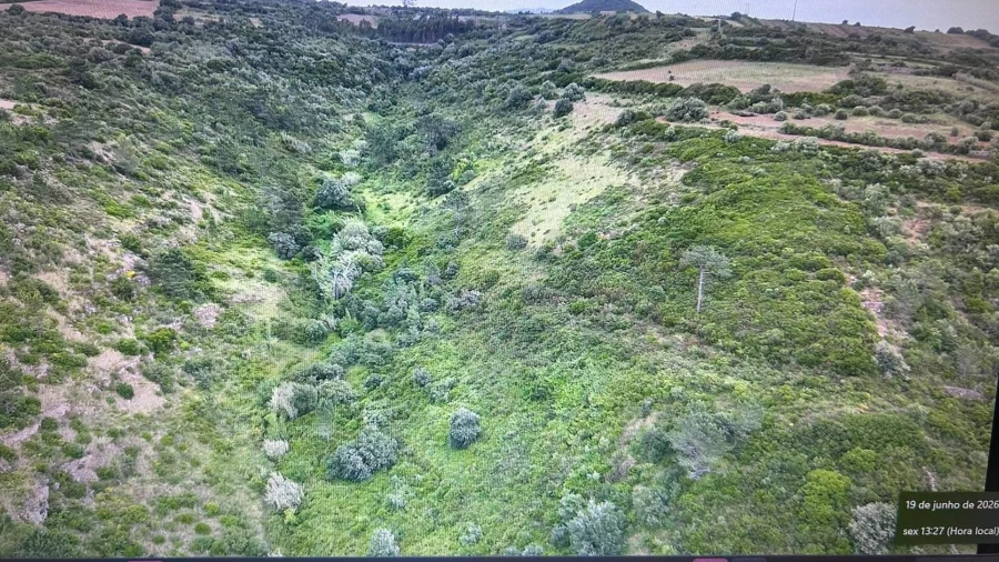 Terreno para Venda em Igreja Nova e Cheleiros