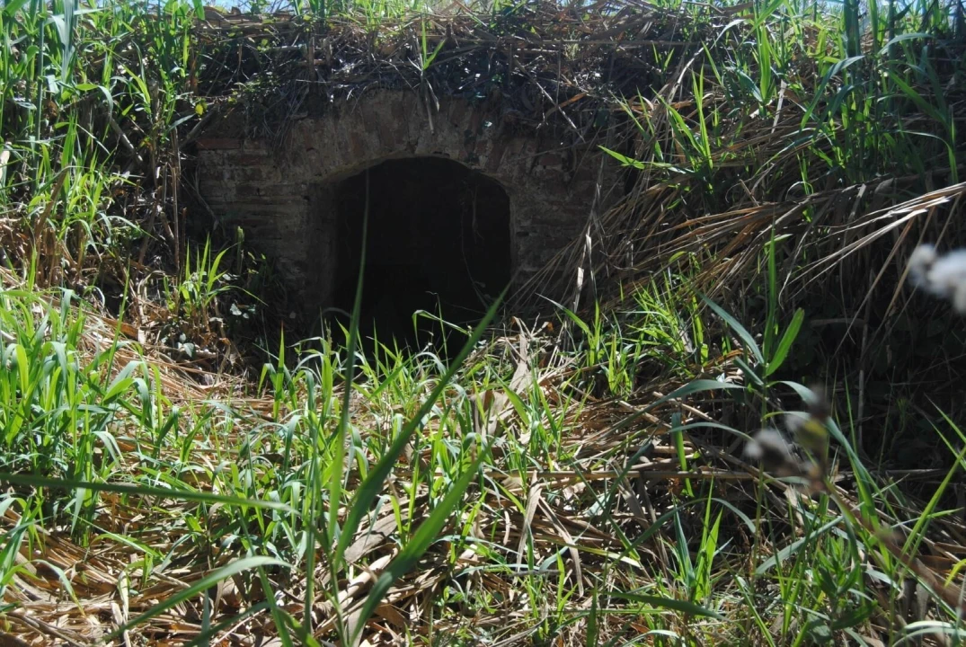 Terreno para Venda em A dos Cunhados e Maceira Foto 8
