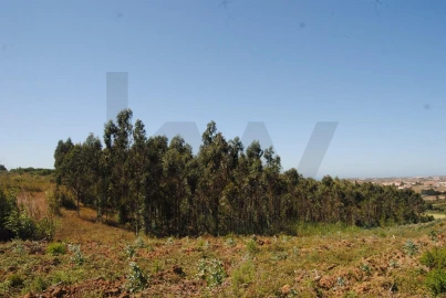 Terreno para Venda em A dos Cunhados e Maceira