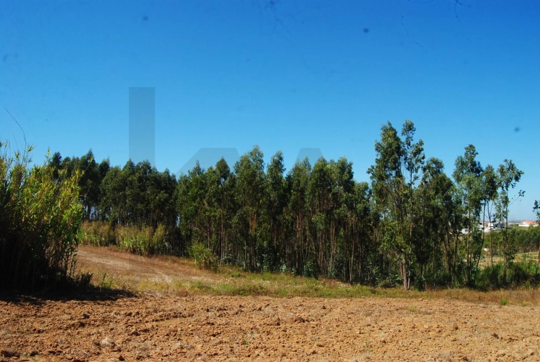 Terreno para Venda em A dos Cunhados e Maceira Foto 10