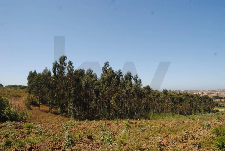 Terreno para Venda em A dos Cunhados e Maceira Foto 9
