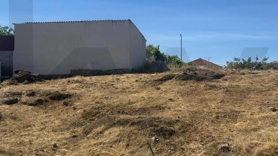 Terreno para Venda em Castelo Branco