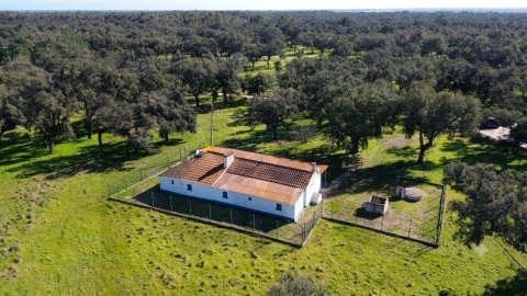 Quinta T3 para Venda em São Domingos e Vale de Água