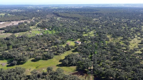 Quinta T3 para Venda em São Domingos e Vale de Água