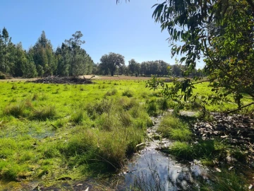 Quinta T3 para Venda em São Domingos e Vale de Água