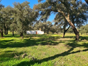 Quinta T3 para Venda em São Domingos e Vale de Água