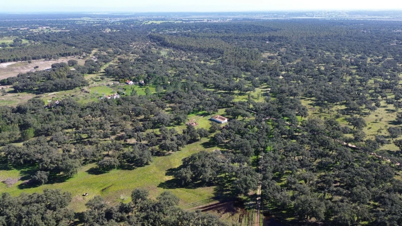 Quinta T3 para Venda em São Domingos e Vale de Água Foto 25
