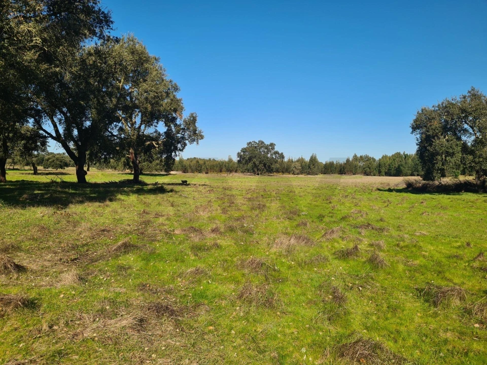 Quinta T3 para Venda em São Domingos e Vale de Água Foto 16