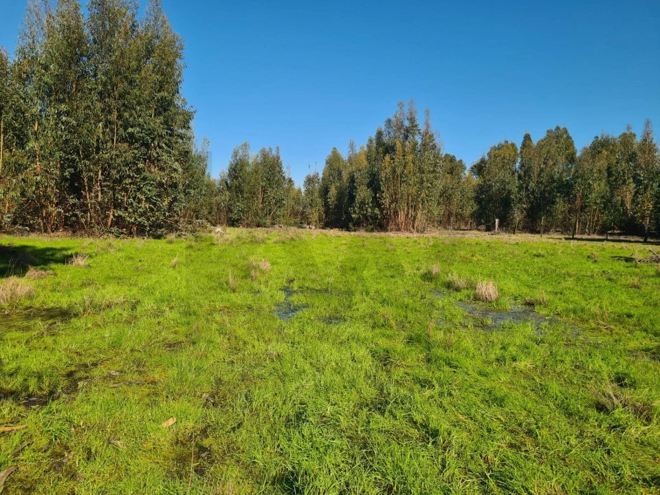 Quinta T3 para Venda em São Domingos e Vale de Água Foto 20