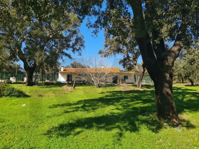 Quinta T3 para Venda em São Domingos e Vale de Água Foto 3