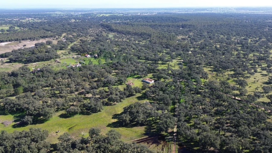 Quinta T3 para Venda em São Domingos e Vale de Água Foto 25