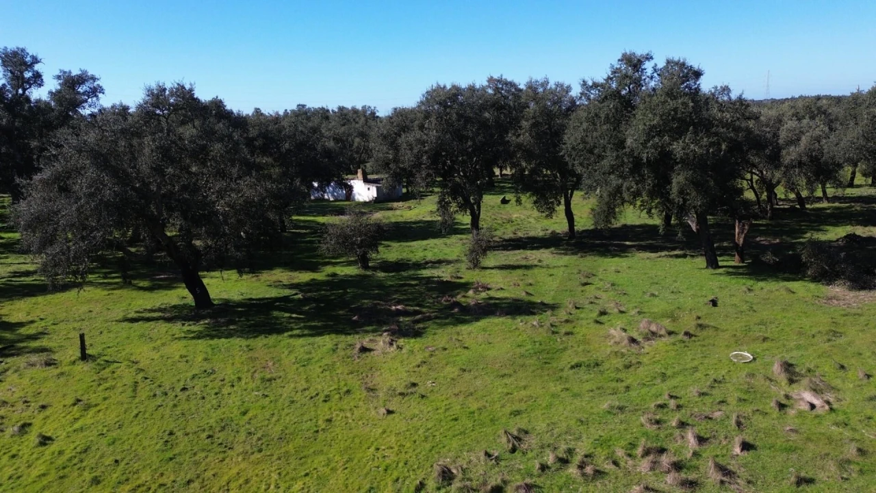 Quinta T3 para Venda em São Domingos e Vale de Água Foto 12