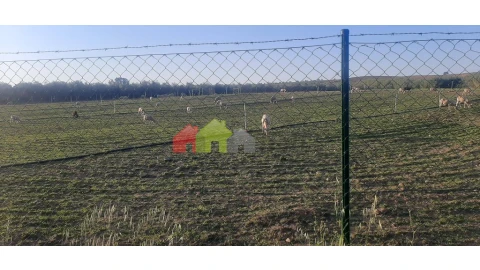 Terreno para Venda em Nossa Senhora das Neves