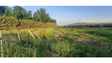 Terreno para Venda em Nossa Senhora das Neves