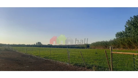 Terreno para Venda em Nossa Senhora das Neves