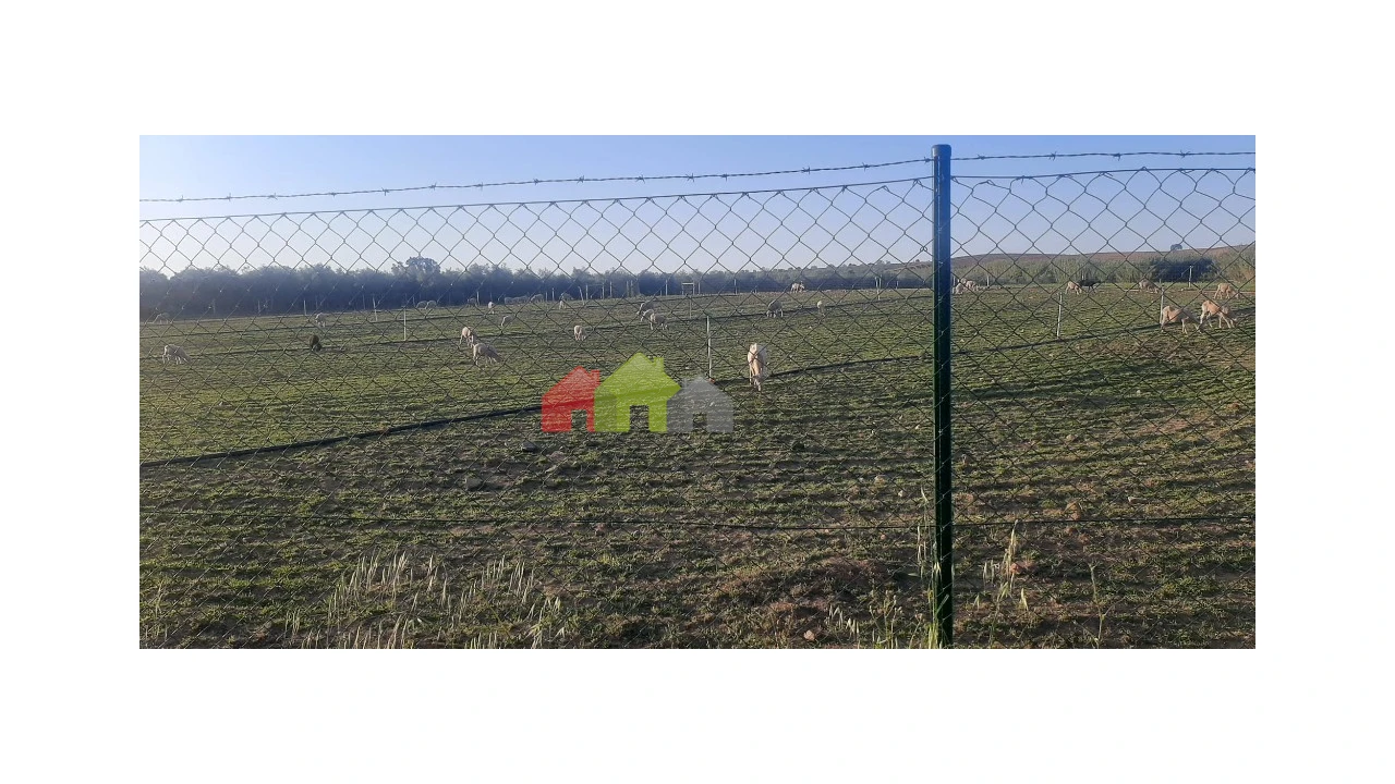 Terreno para Venda em Nossa Senhora das Neves Foto 4