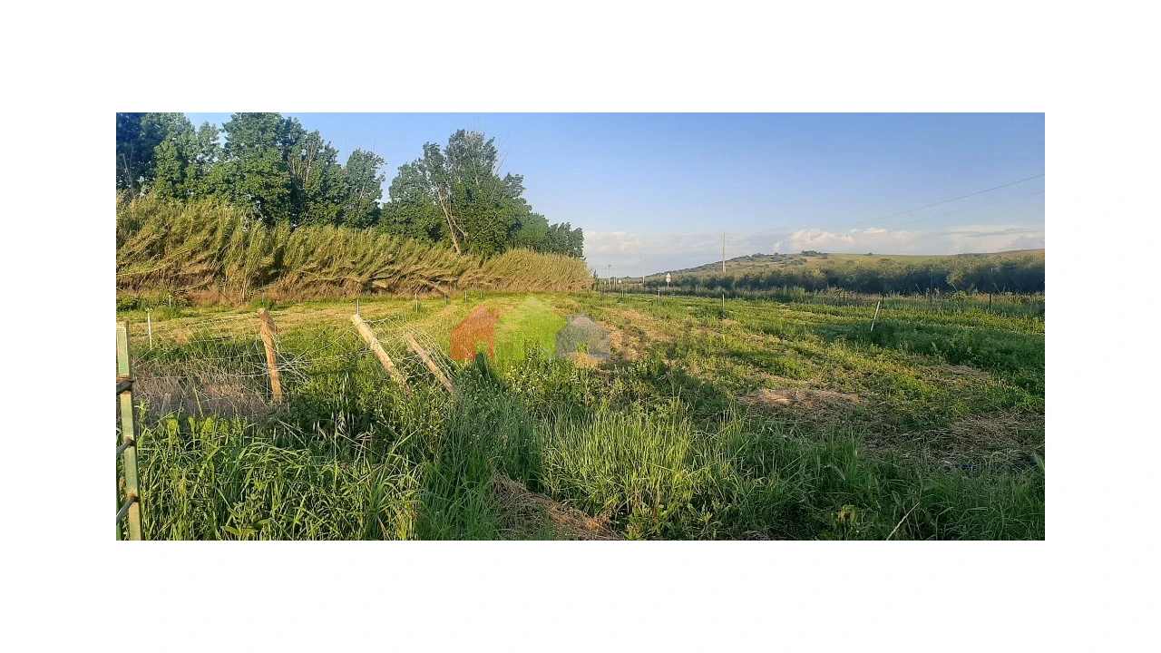 Terreno para Venda em Nossa Senhora das Neves Foto 5